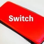 ダイソー「Switch ゲーム機収納ケース」300円